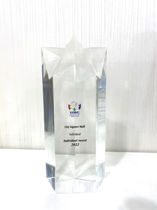Safety and Security Watch Group (SSWG) Individual Award 2022 City